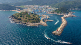 영덕군, 어린이대축제·물가자미 축제 성황리에 마쳐