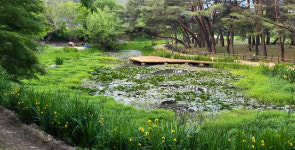 [12부 스토리로 만나는 경북의 문화유산] (8) 덕동 문화마을