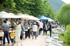 구미시 선주원남동, 장미꽃 핀 구미천에서 다양한 행사 개최