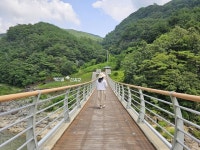 추석 연휴, 경북 봉화에서 즐기는 특별한 여행