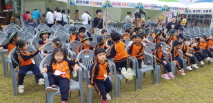 성주임진의병예술제, 경북대표 의병축제로 거듭나