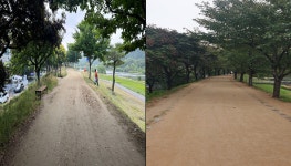 대구 동구청, 금호강변 제방 마사길로 탈바꿈