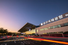 대구공항 2019년부터 조류 충돌 41건…대부분 소형 조류, 피해 없어