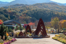 한국수목원정원관리원, 설 명절 맞아 소속 수목원 무료 개방…전국 3개 수목원서 다채로운 이벤트