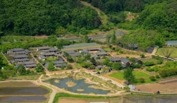 [대구·경북 명목을 찾아서] (6) 인흥마을 남평문씨 나무사랑과 노란 해당화