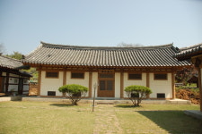 대구경북 명목을 찾아서(6)인흥마을 남평문씨 나무사랑과 노란 해당화