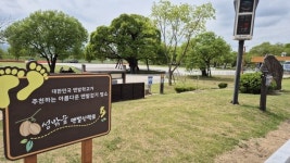 (맨발걷기 핫플레이스) 성주 성밖숲 천혜의 맨발걷기 명소