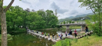 외씨버선길, 청송을 다시 푸르게 걷기 행사