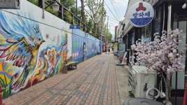 [르포] 대구 김광석 거리 걷고, 고양이 전시 보며 힐링 한 스푼 즐겨요