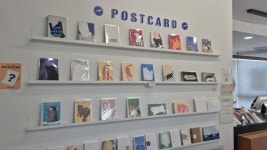 [르포] 대구 김광석 거리 걷고, 고양이 전시 보며 힐링 한 스푼 즐겨요