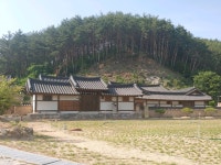 [대구·경북 명목을 찾아서] (9) 온계 이해 선생과 온혜리 밤나무
