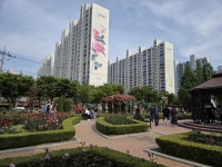 [지상초대] 꽃의 여왕, 장미꽃feel무렵 감상해보세요