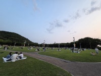 [현장속으로] 대구 코오롱 야외음악당, 여름밤을 수놓는 문화의 향연 이어져