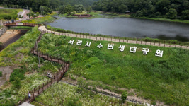 대구 북구 서리지 수변생태공원 자연과 호흡하는 명소