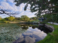 [신화속의 역사] (60) 영웅들의 만남