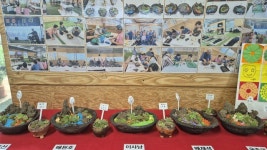 [이 동네 이 사업] 성주군 바라는 대로 저절로 치유마을