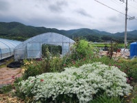 [의성 리스타트] ① 귀농1번지 의성에 푹빠진 농부 이영우씨