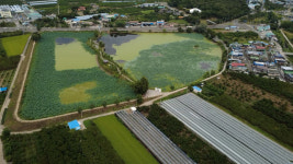 사진) 경산 삼정지와 한장군 말묘