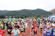 제18회 청도반시전국마라톤대회, 조기 마감… 청도군 가을축제 열기 후끈
