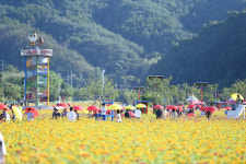 전국 최대 규모 산소카페 청송정원 백일홍화원 관광명소 자리매김