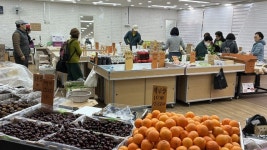 [현장에서] 반월당 지하상가가 시장이 됐다…약국·농산물 판매점으로 업종지도 재편