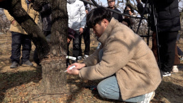 [영상] 빗자루병 막자…경산 대추농가, 방제 현장 교육 열기