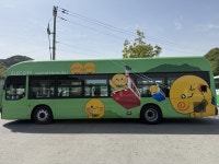 낭만 거북이(토미) 금오산을 가다,…구미 금오산 가는 27-3번 시내버스에 토미 디자인 입혀