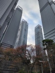 대구 아파트값 상승세 지속, 전세가는 상대적 차분