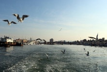 [기획]포항~영덕 100리 철길 따라 해변여행