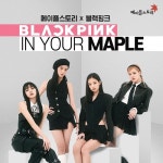 넥슨, 메이플스토리 X 블랙핑크 콜라보 업데이트 실시