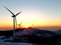 삼양목장, 내년 1월 1일 해돋이 행사 연다