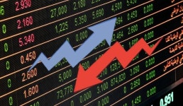 의료기기 관련주, 덩실덩실 로킷헬스케어·더바이오메드·코어라인소프트· 메타케어·멕아이씨에스... 눈물 메타바이오메드·바이오비쥬... 