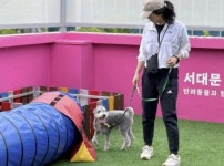 서대문구 2025년 취약계층 우리동네 동물병원 사업 실시