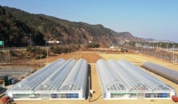삼척시, 청년농업인을 위한 경영실습 임대농장 임차인 모집