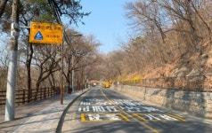 광진구 장애인 보호구역 신규지정 및 관련 시설 설치 완료