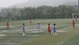 보은군 제1회 보은컵 꿈나무 축구대회 개최