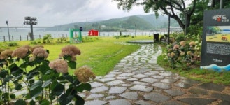 광양시 동주의 별빛정원 조성사업을 위한 조경사업 시행