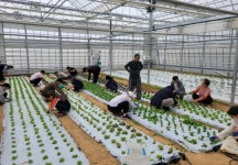 담양군 2026년 신규농업인 기초영농기술교육 교육생 선착순 모집