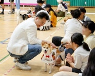도봉구 우리동네 펫위탁소 추진