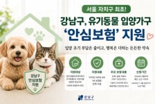 강남구, 유기동물 입양가구에 안심보험 지원