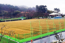 미미당대구FC경 | [엠스플 축구] '비'로 하루 일찍 돌아간 대구 "시즌 준비 문제없다"