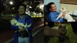 퇴근하면 5분도 안돼 코 골고 자던 남편이 변했다…반려견은 내겐 부활절과 같은 존재 [엠스플 기획]