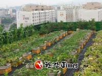 노원구, 도시농업 마을공동체 한마당 행사