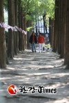서초구, 나만의 맞춤 산책길을 찾아라`~