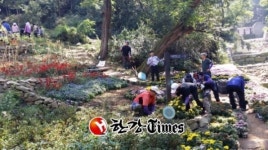 관악구, 등산로 주변 환경정비 나서