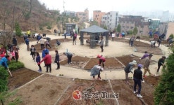 관악구, 친환경 도시텃밭 분양 사업 실시