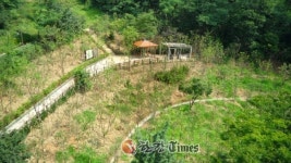 동작구, 현충근린공원 일대 산림생태계 복원사업 준공