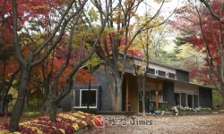 종로구, 책읽는 종로, 도서관축제 개최