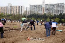 강남구, 도시텃밭 가꾸기 본격 시행