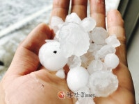 [2보] 탁구공만한 우박이 우르르 영주시 봉화군 일대 봉변